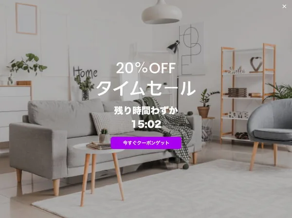 Fullscreen popup — flash sale