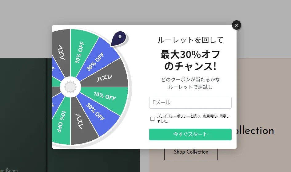 メールリスト構築　クーポンルーレットティーザー表示確認画面